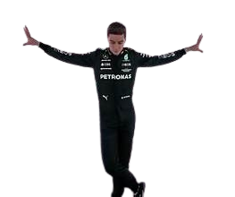 OIP removebg preview.png