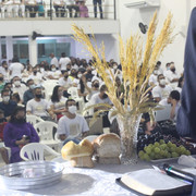IMG-0733