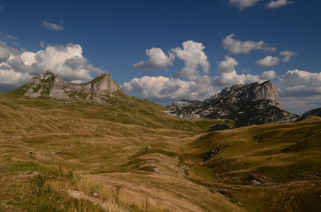 IMG-20230729-4