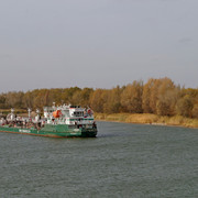 DSC08206