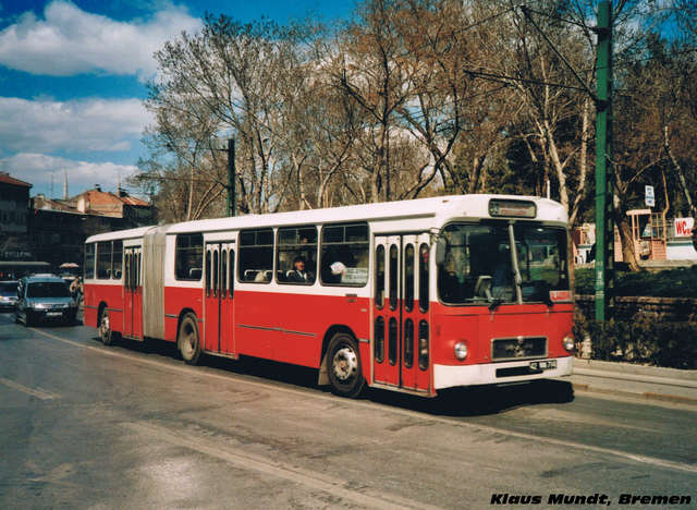 IMG-4970