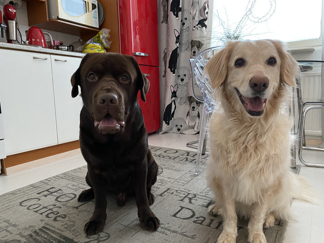 E0527-BFE-151-B-4-B6-D-87-B3-2-D6-B9-E2-