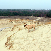P1050494