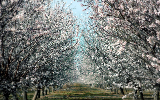 spring-076