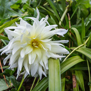IMG-6888