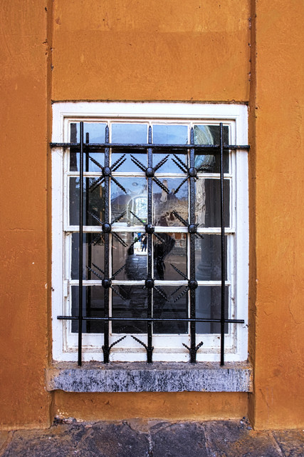 IMGP7184.jpg