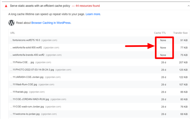 Page-Speed-Insights