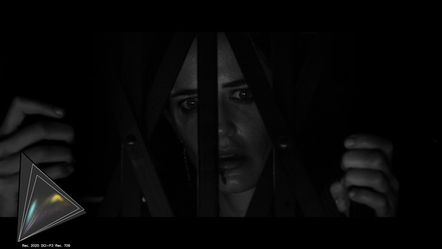 gamut-CR0261