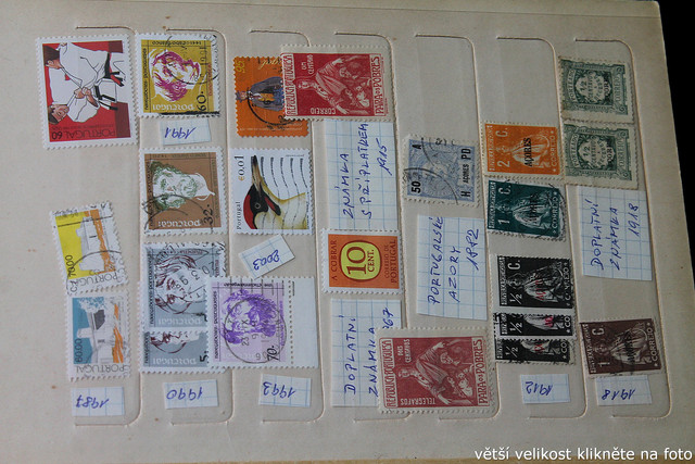 IMG-3628.jpg