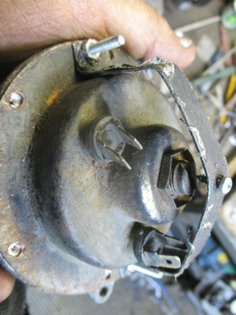 IMG-9123.jpg
