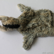 IMG-6727