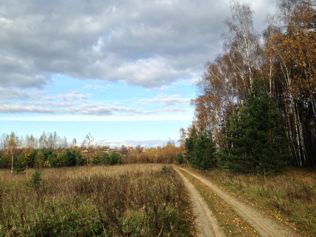 IMG-4369.jpg