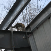 IMG-1289