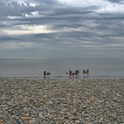 DSCF0161