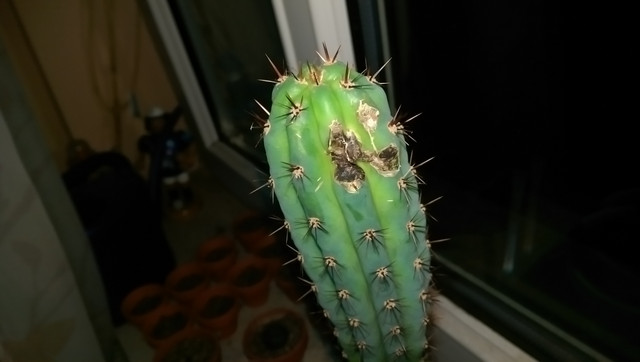 IMAG0030