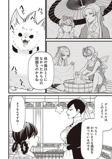 DLRAW-NET-06