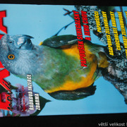 IMG-7787
