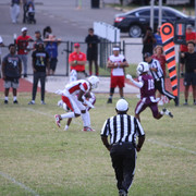IMG-2433