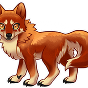 Wolvden-Adopt-Sol-small