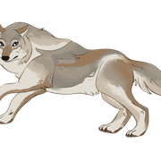 Chonky-4