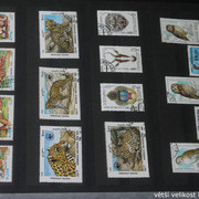 IMG-2256