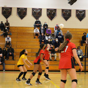 IMG-0111