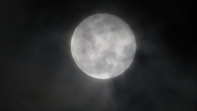 Pmoon-066.jpg