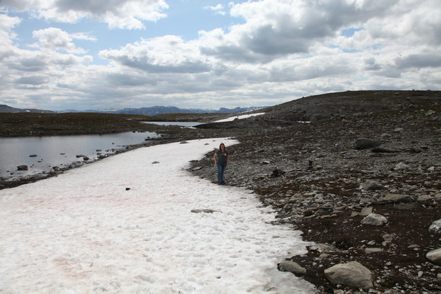 IMG-3496