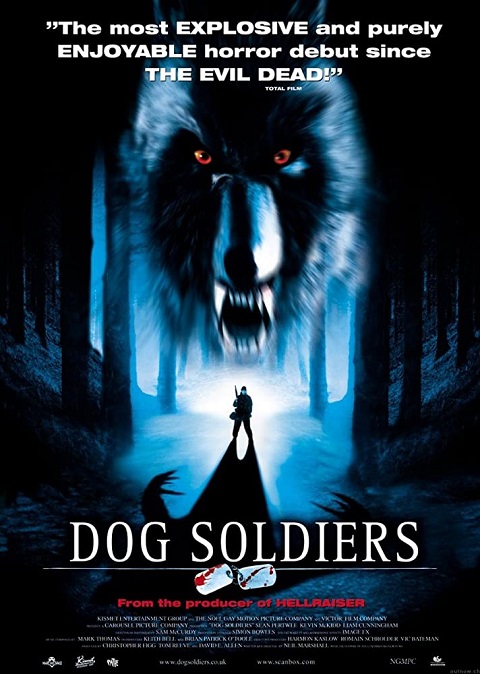 Dogsold.jpg