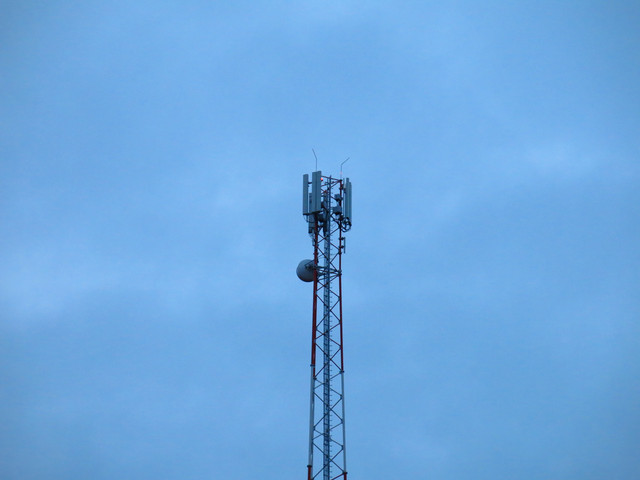 IMG-1368