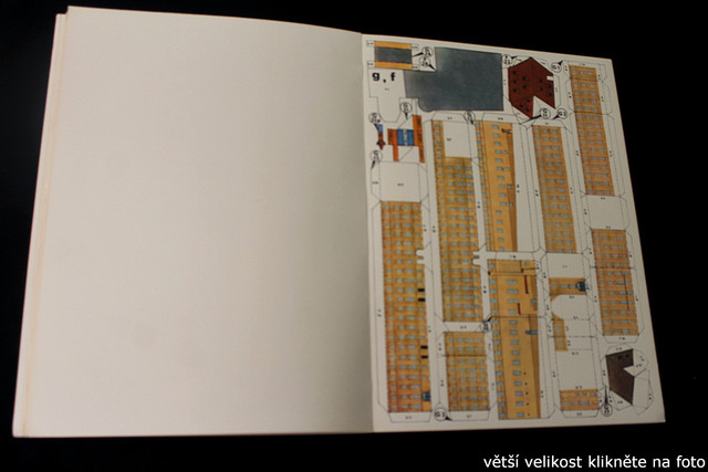 IMG-4606.jpg