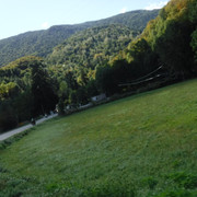DSCF6202