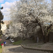 IMGP8322