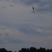 DSC00933