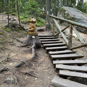 IMG-3068