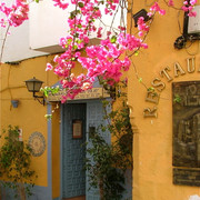 Marbella-4