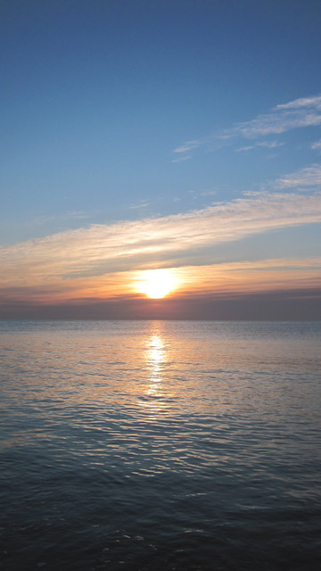 IMG-2410