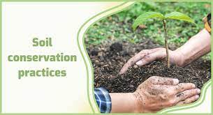 soil