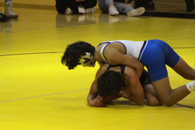 IMG-0071