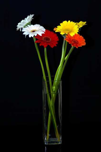 flowers.jpg