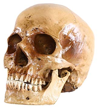 Calavera-Airoh.jpg