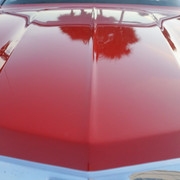 DSC09800