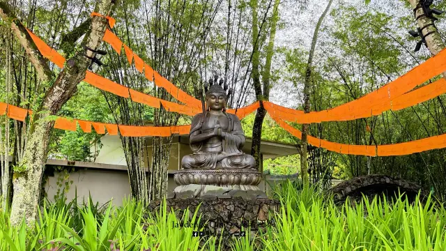 克切拉禅修林9.webp