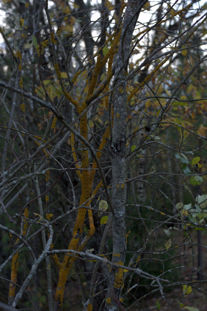 DSC7500-result.jpg