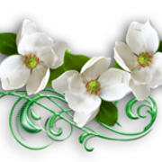 0-99181-a8b7f45f-M