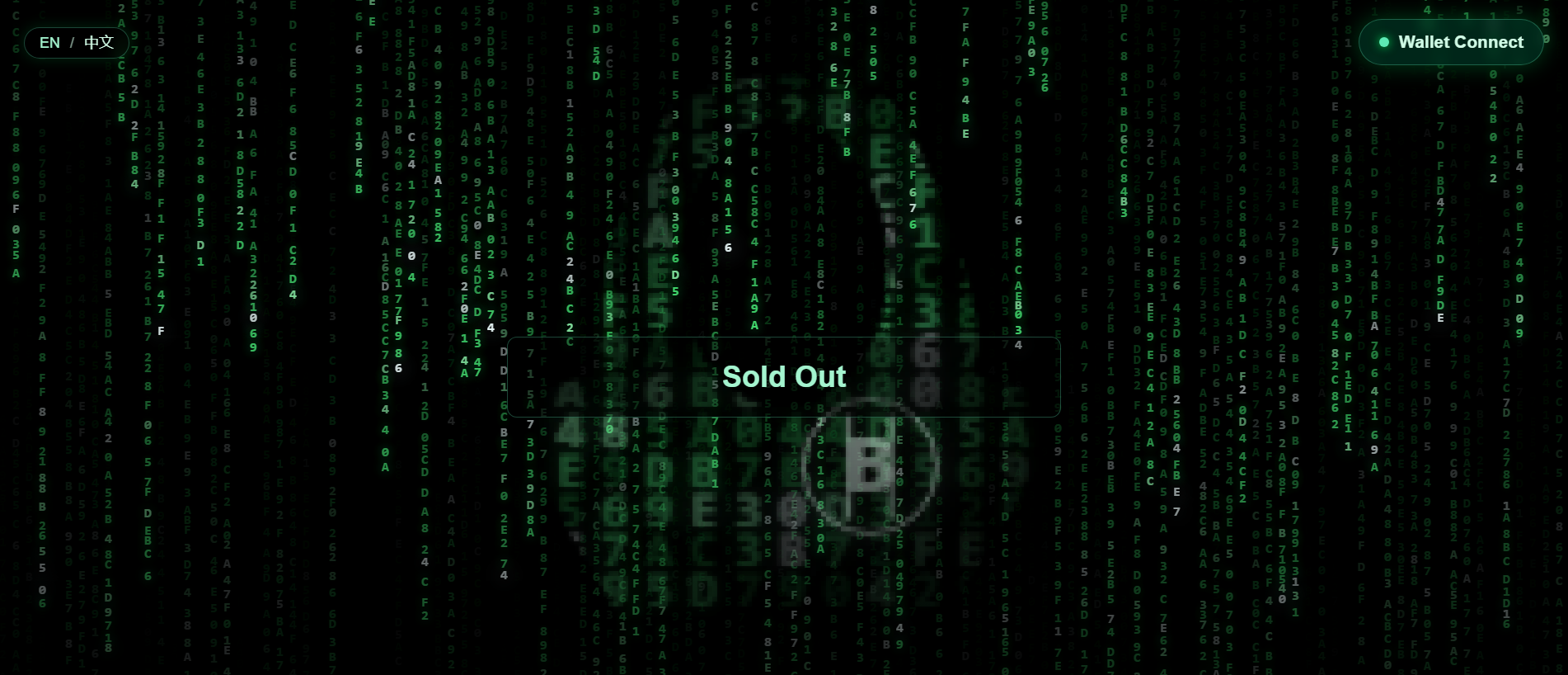 Forensic screenshot of [REDACTED] showing the phishing page layout