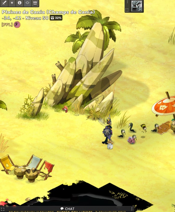 Bug texture eau - Forum - DOFUS, le MMORPG stratégique.