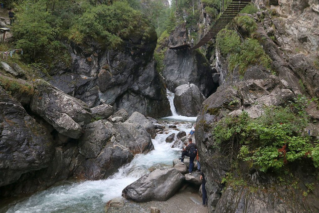 IMG 0295.jpg