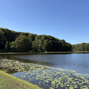 IMG 3692