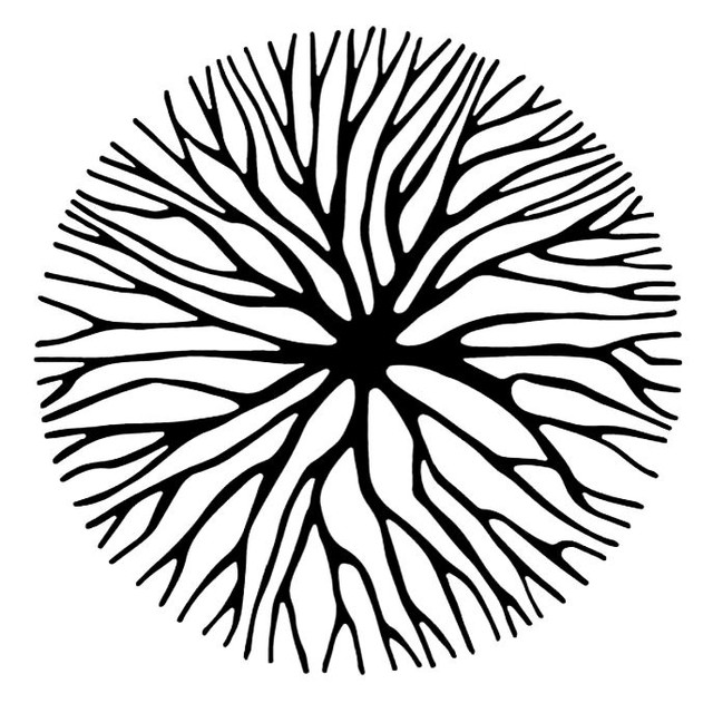 mycelium.jpg